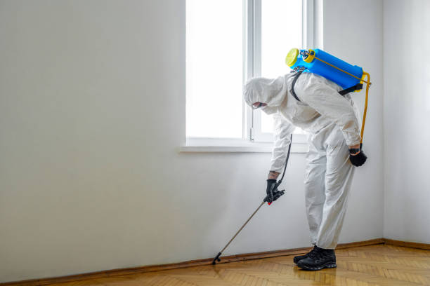 Professional Pest control in New Lenox, IL